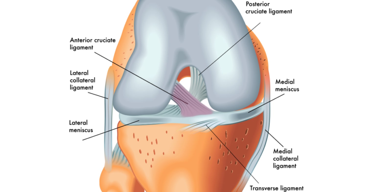 acl-pcl-ligament-injuries-metropolitan-institute-of-pain